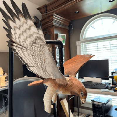 New Project - 2025-11-10T121522.008